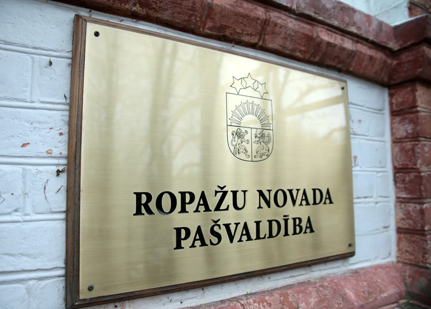 Ропажи