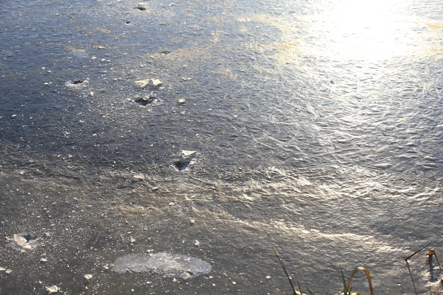 Puurmanis hukkus õhukesele jääle läinud kalamees.