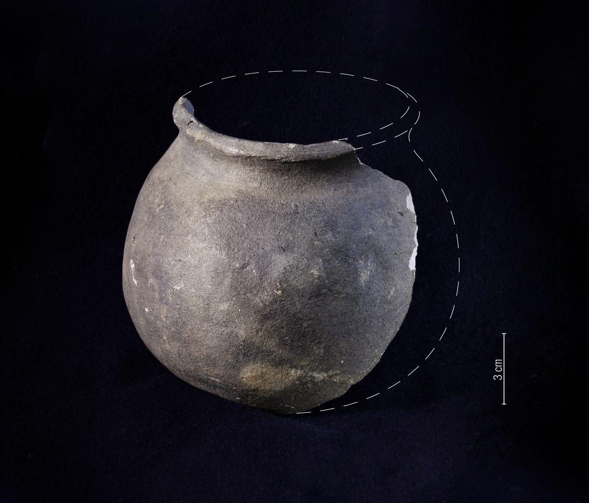 Kuninga tn 1 keldri arheoloogilistelt uuringutelt leitud kerapott võis kuuluda esimestele Tallinna ümberasujatele