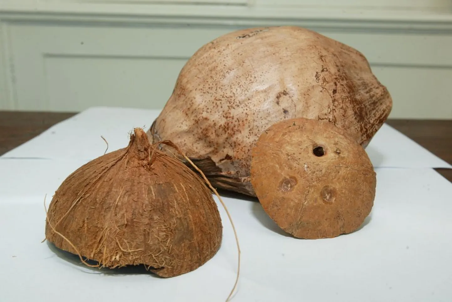 Kookospähkel