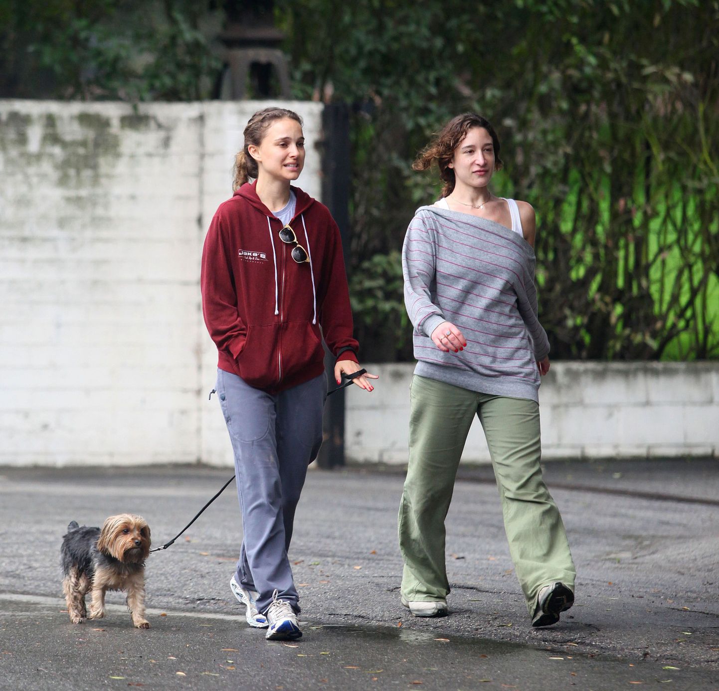 Natalie Portman jalutas koeraga