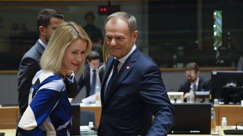 Премьер-министр Польши поддерживает кандидатуру Каллас на пост главы внешней политики ЕС