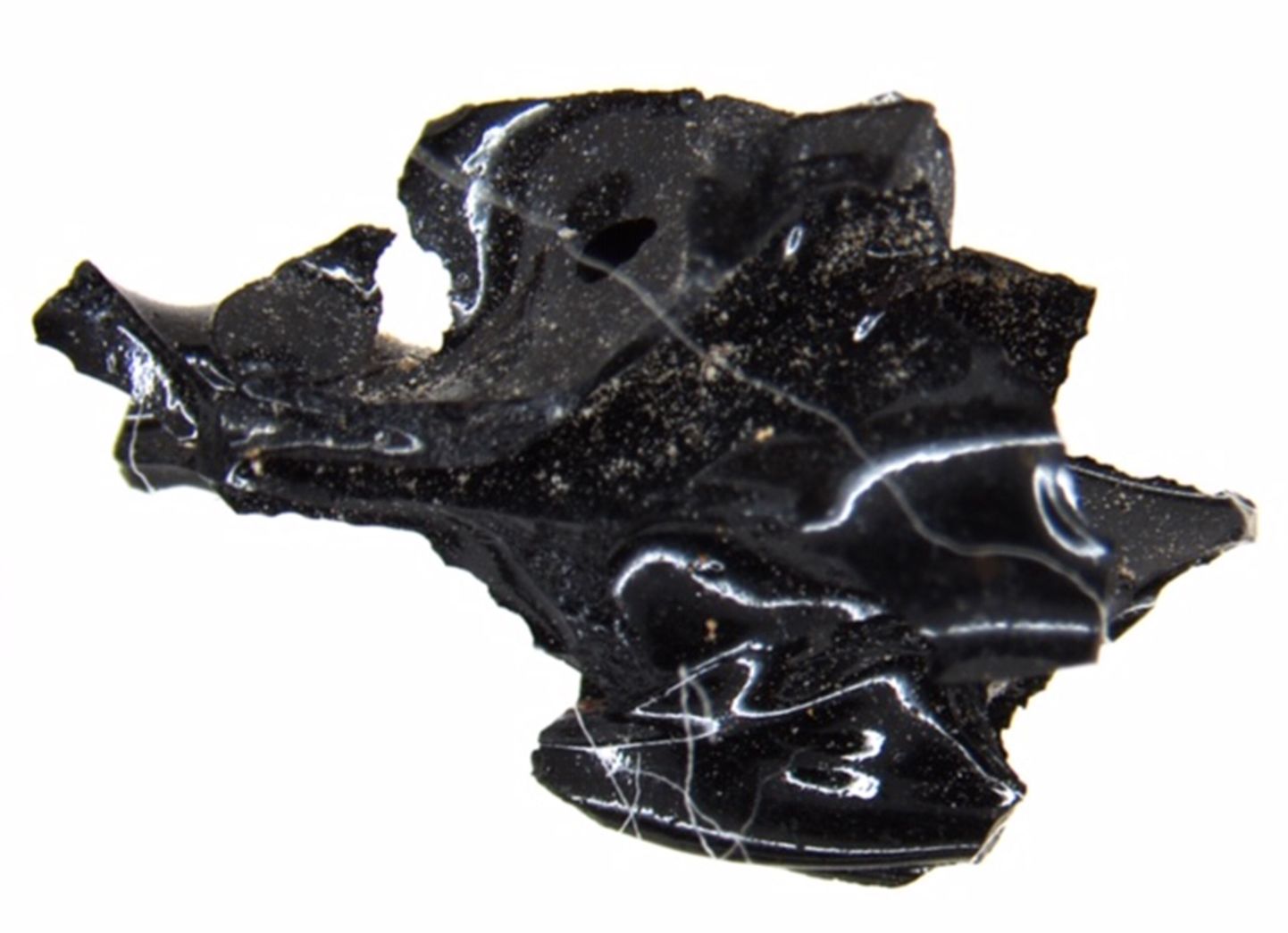Herculaneumist leitud Vesuuvi vulkaanipurske ohvri klaasistunud ajufragment
