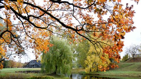 Kāds laiks gaidāms tuvākajās dienās?
