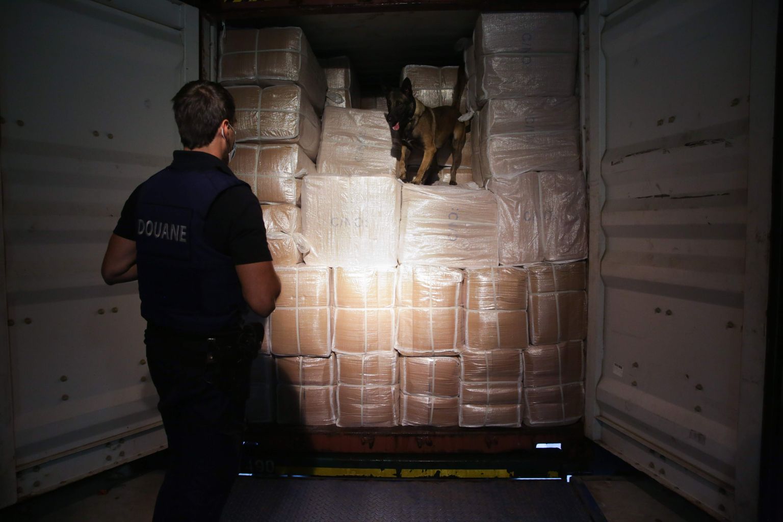 Antwerpeni tolliametnikke abistavad kauba ülevaatamisel politseikoerad, keda treenitakse narkootikume tuvastama.