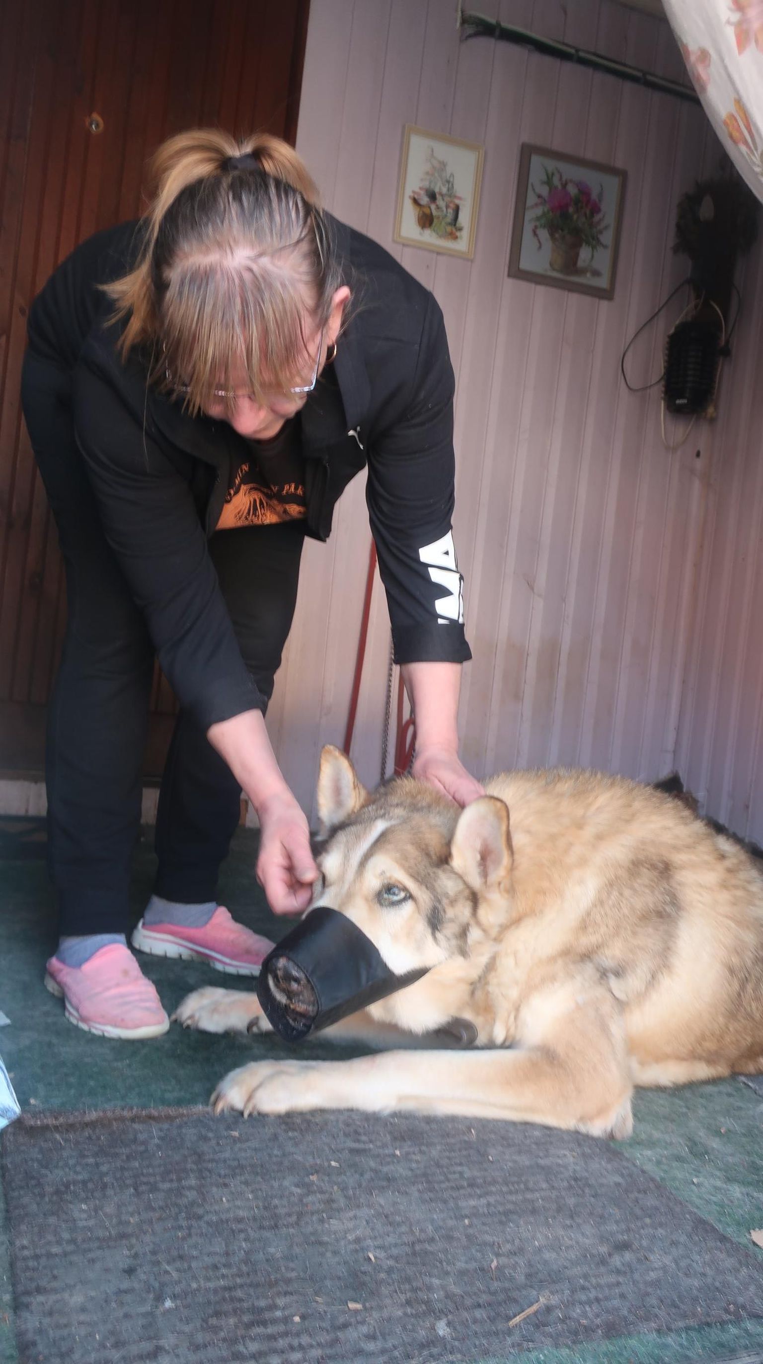 Virge Kärsteni arvates võiks vallal olla leping mõne veterinaariga, kes hädaolukorras loomakiirabi rolli täidaks.