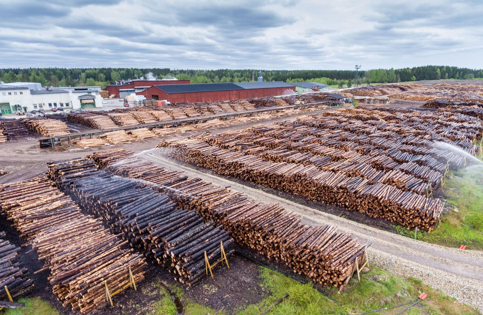 Virnastatud metsamaterjal Toftani puidutööstuses. FOTO: Arvo Meeks