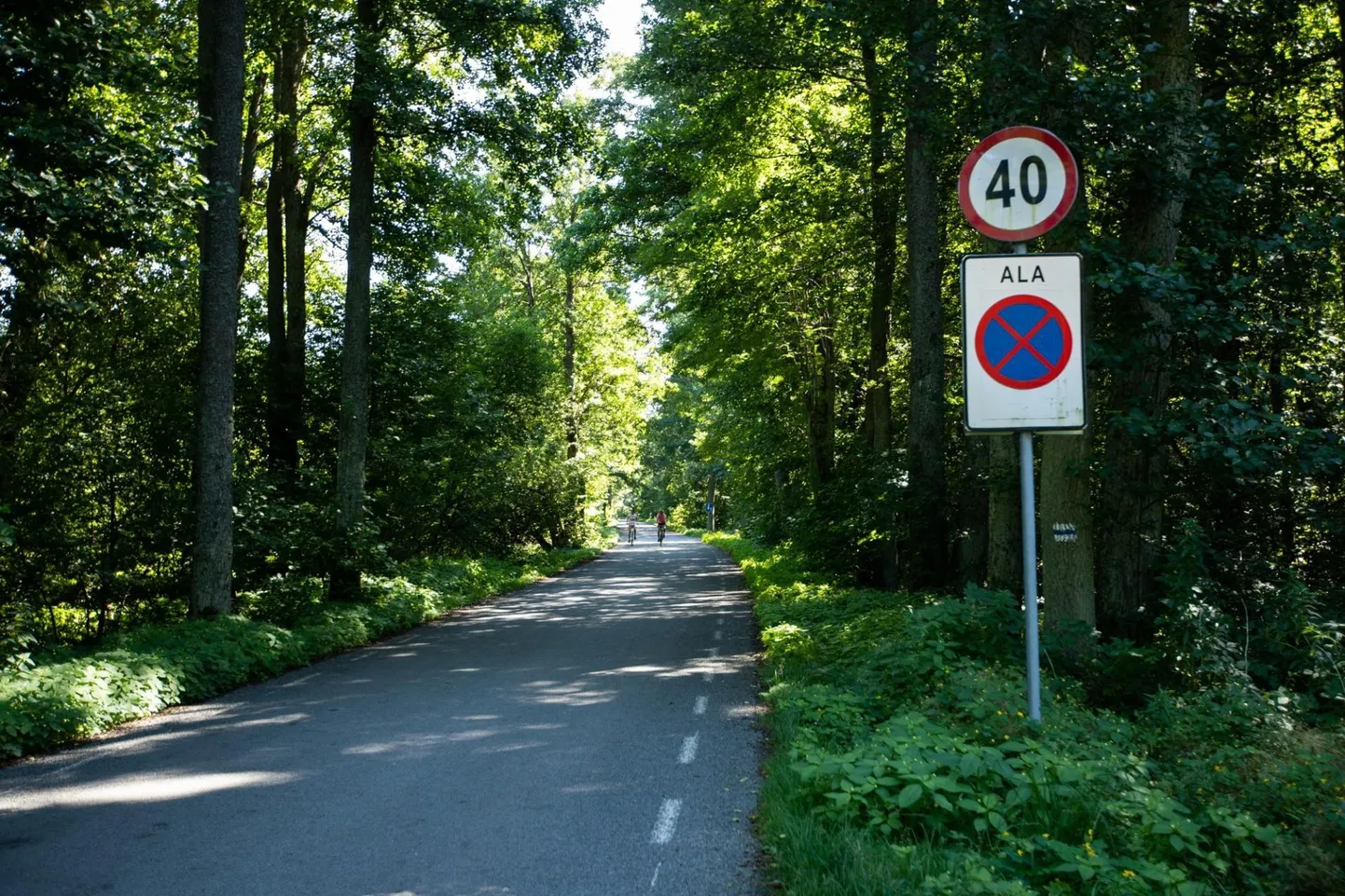 Muraste laste koolitee Merikülla.