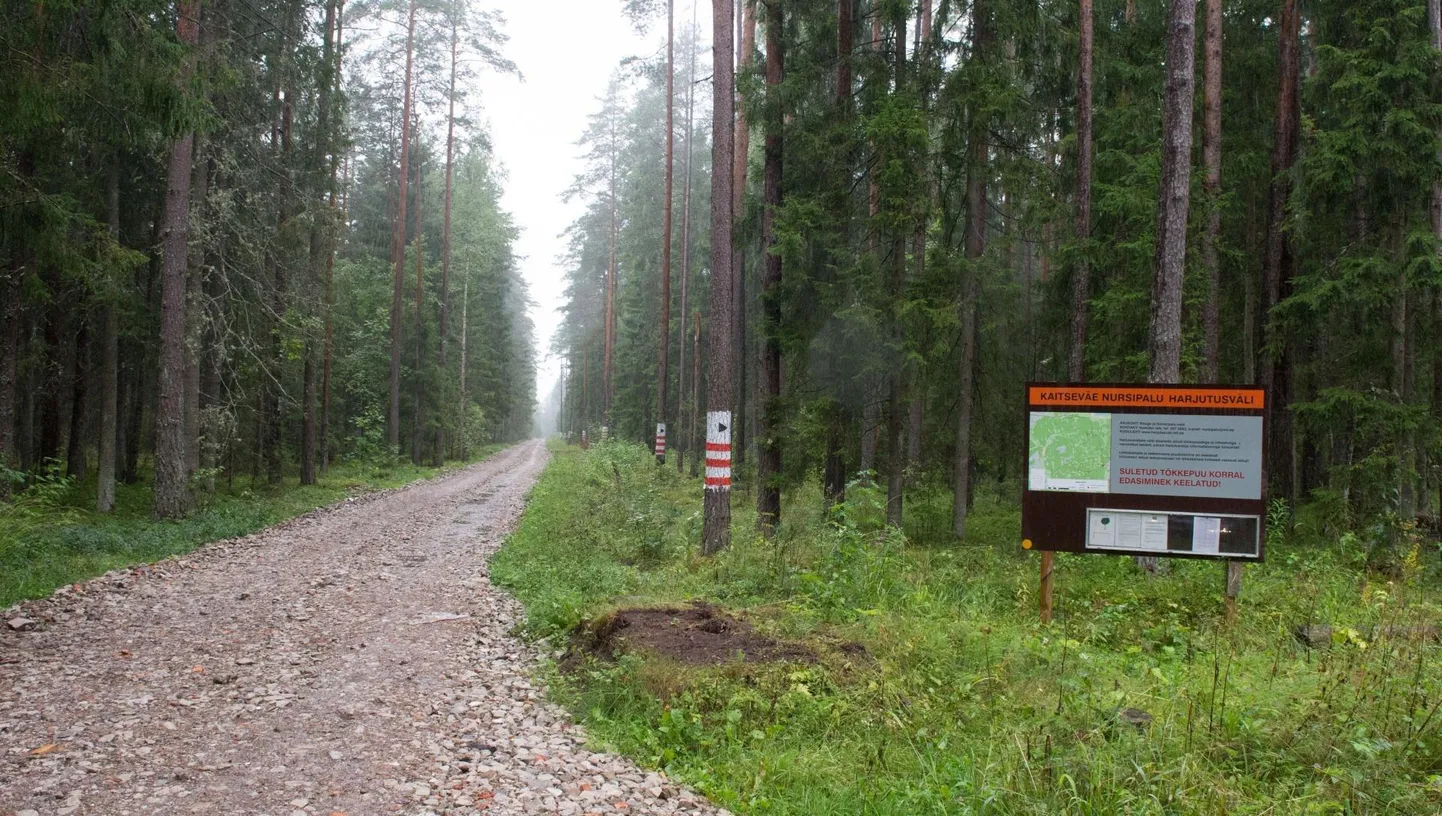 Nursipalu harjutusväljale viiv tee.