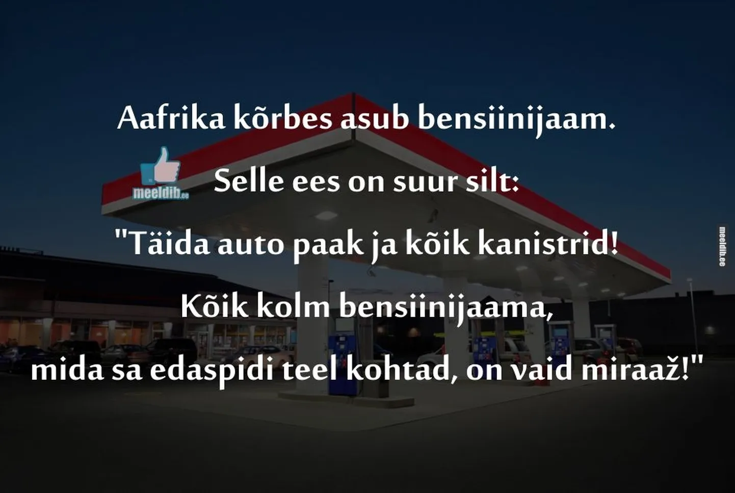 Artikli foto