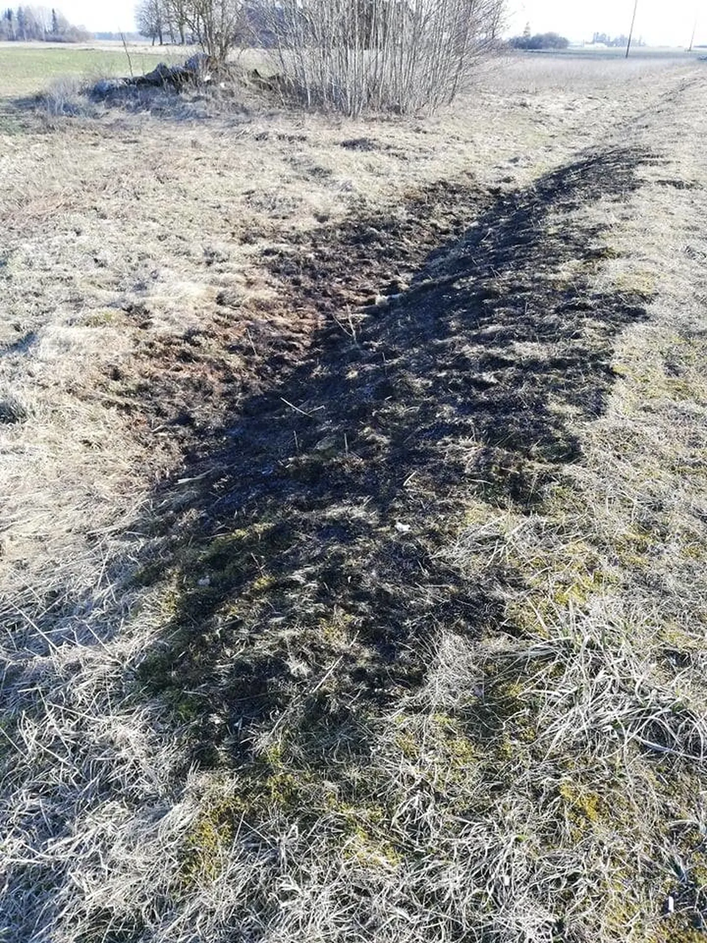 Köisis süttis sigaretiotsast maanteepeenar.