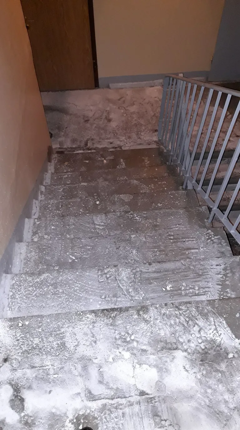 Фото статьи