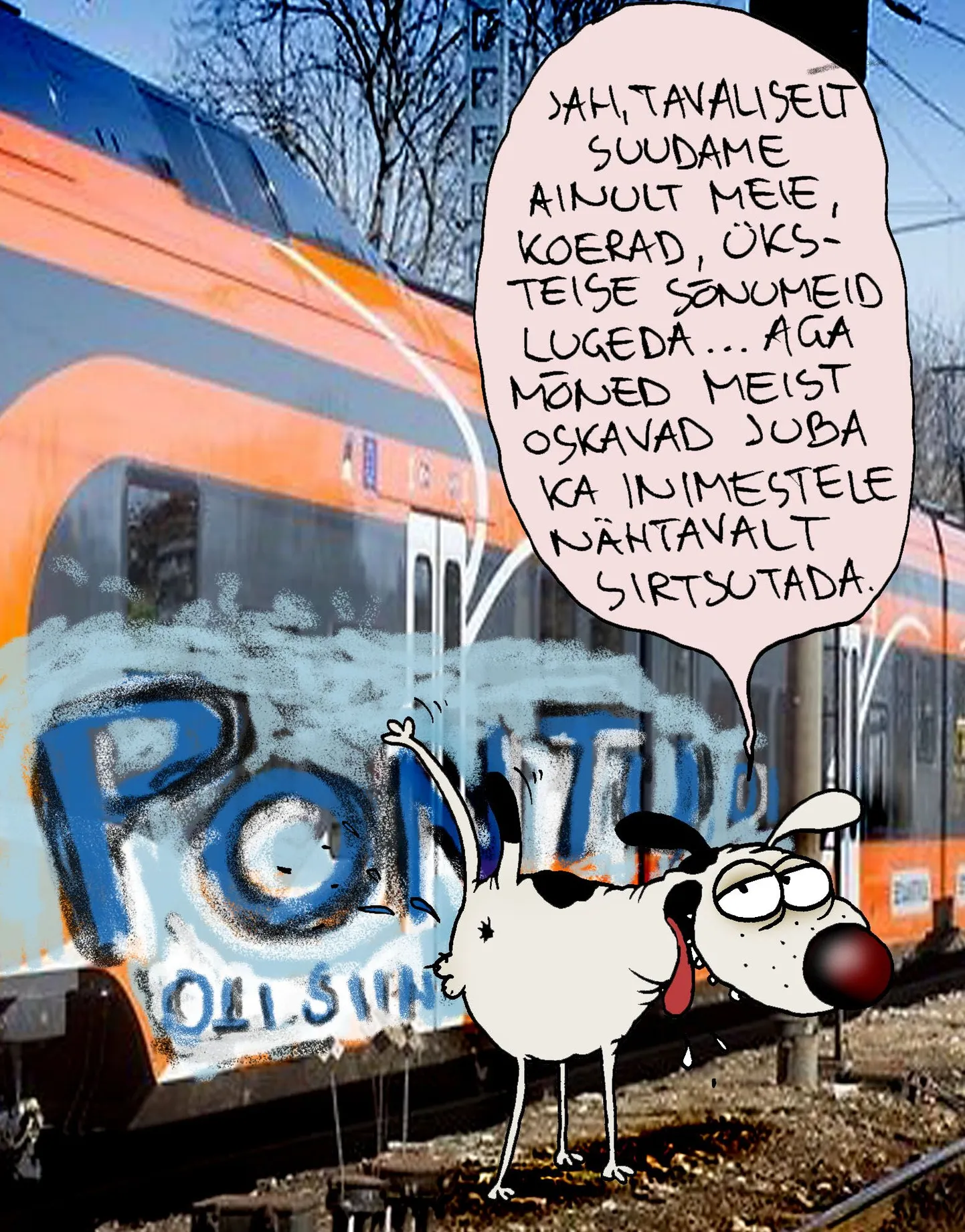 Artikli foto