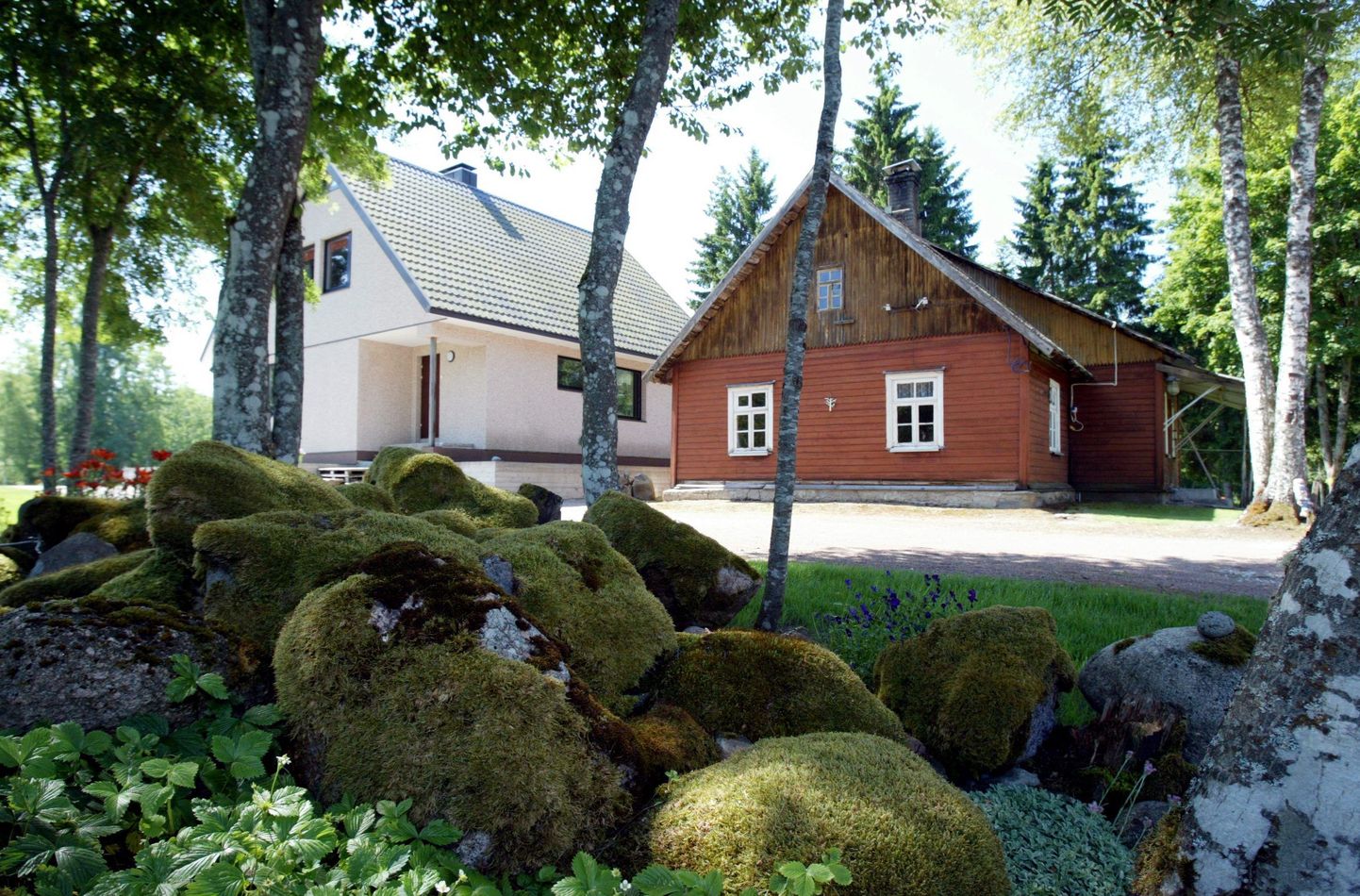 Tiiu ja August Raidmaa kodu Loobu Külas.