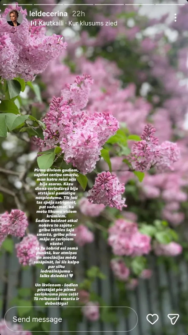 Leldes Ceriņas "Instagram" īsais stāstiņš