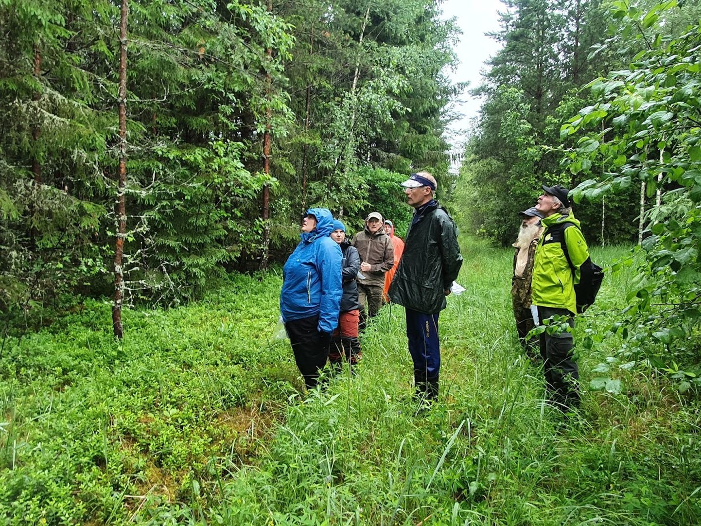 Hindamiskomisjon tutvumas metsamajandajate konkursil osalejate metsadega