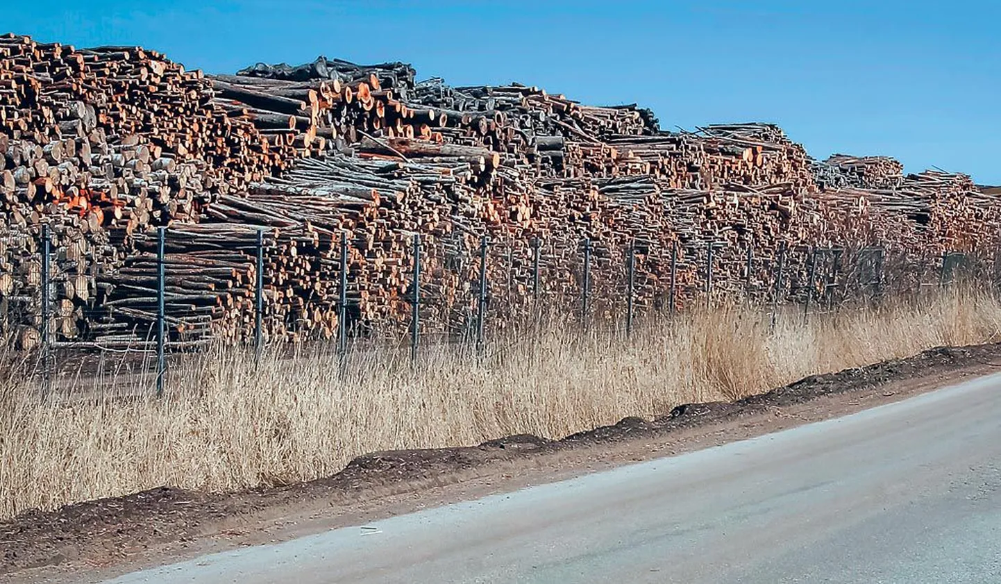 Pärnu sadamat pitsitab ruumipuudus, kuid samal ajal on vaid viie kilomeetri kaugusel hektarite kaupa kasutuna seisvat riigimaad, mille ühes servas tuksub Pärnu lennujaam, mis teenindab üldlende ja peab ühendust saartega.