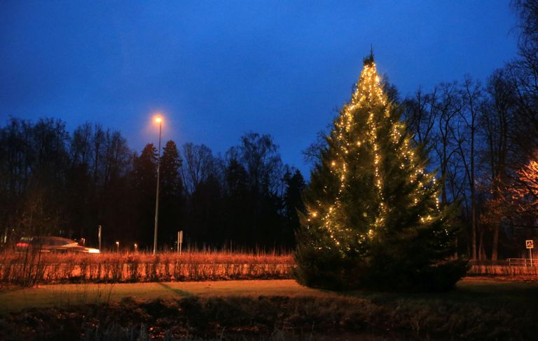 Alatskivi jõulupuu asub kooli rohealal otse Tartu maantee ääres.