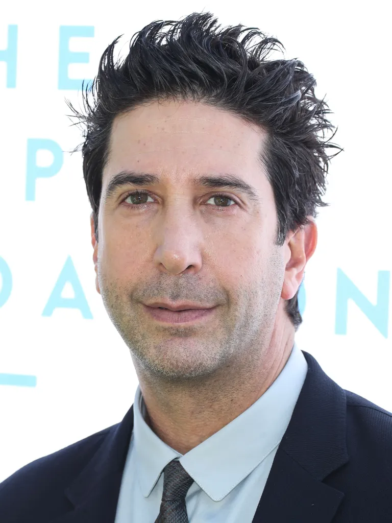 David Schwimmer
