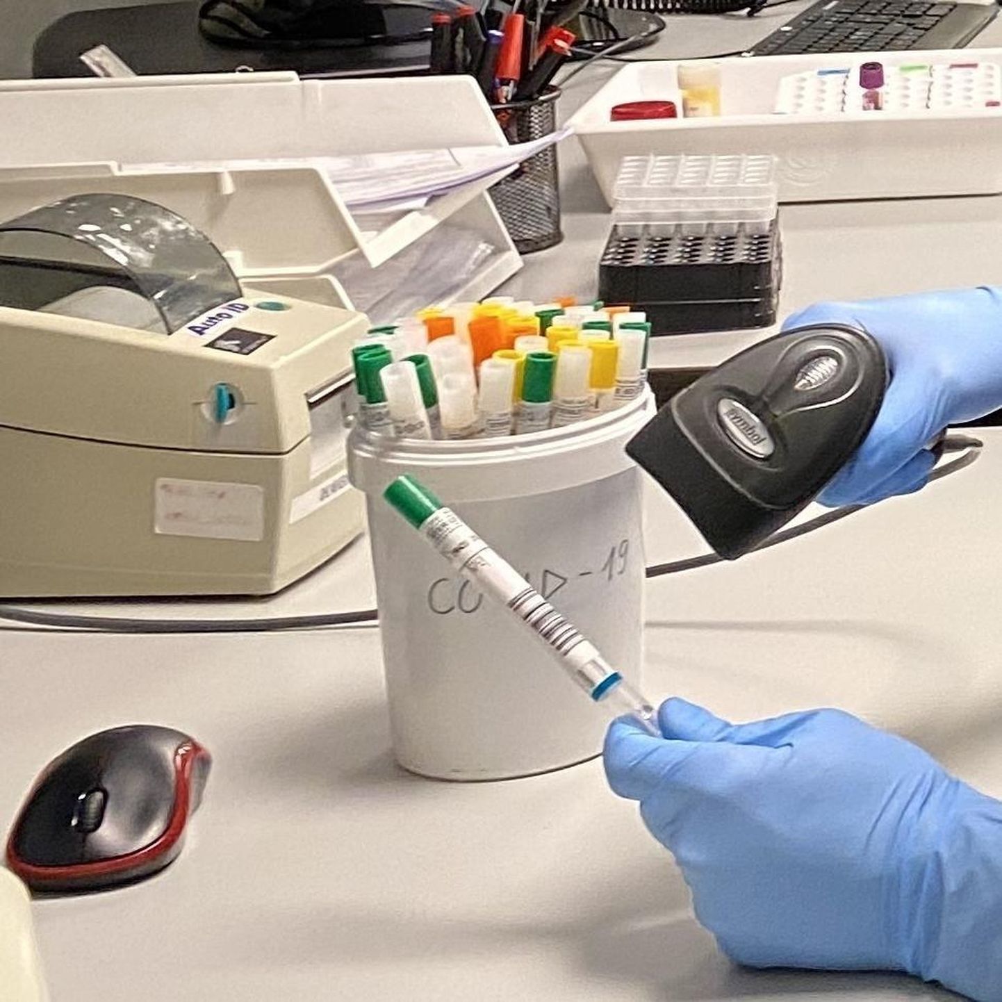 Synlabi laborant Mario Roostalu registreerib koroonaviiruse proovi jõudmise laborisse.