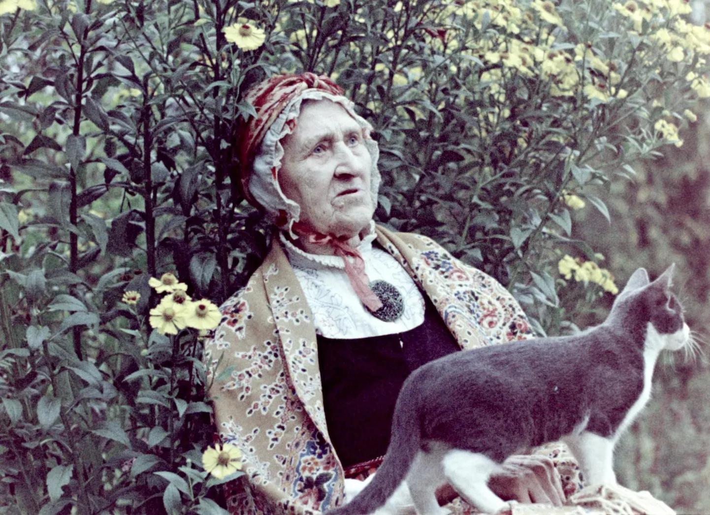 Kaader filmist “Liivi laulud”.