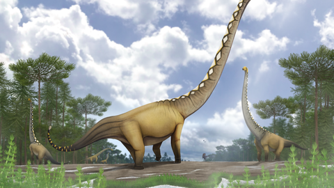 Fossil of long-necked dinosaur discovered in Thailand, suggesting wider sauropod migration