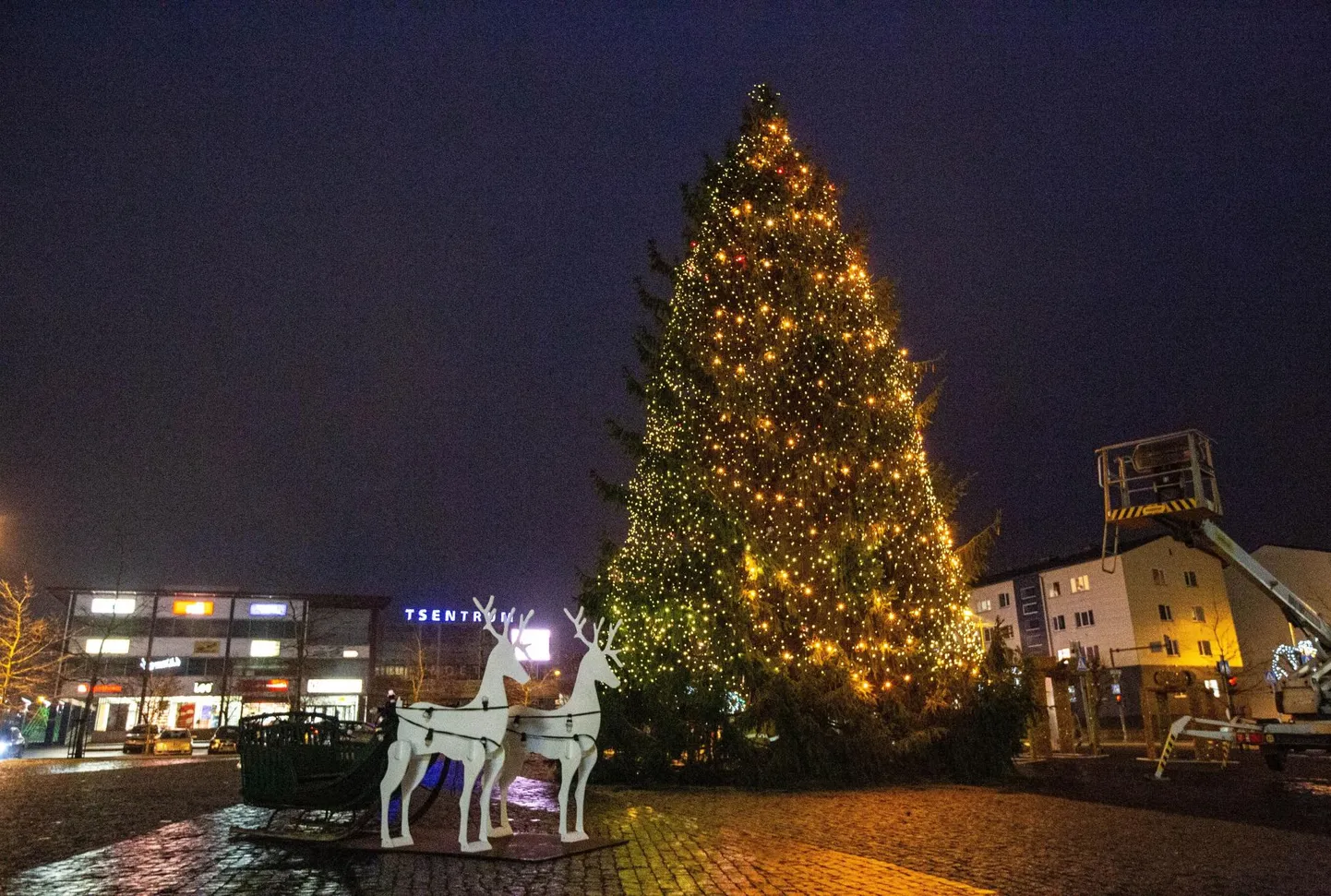 Eelmisel aastal leiti Rakvere Keskväljakut kaunistama väga kaunis kahar jõulupuu.