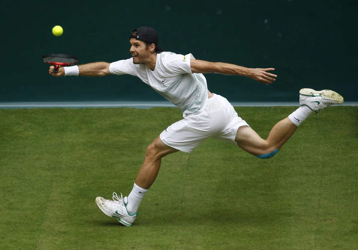 Tommy Haas