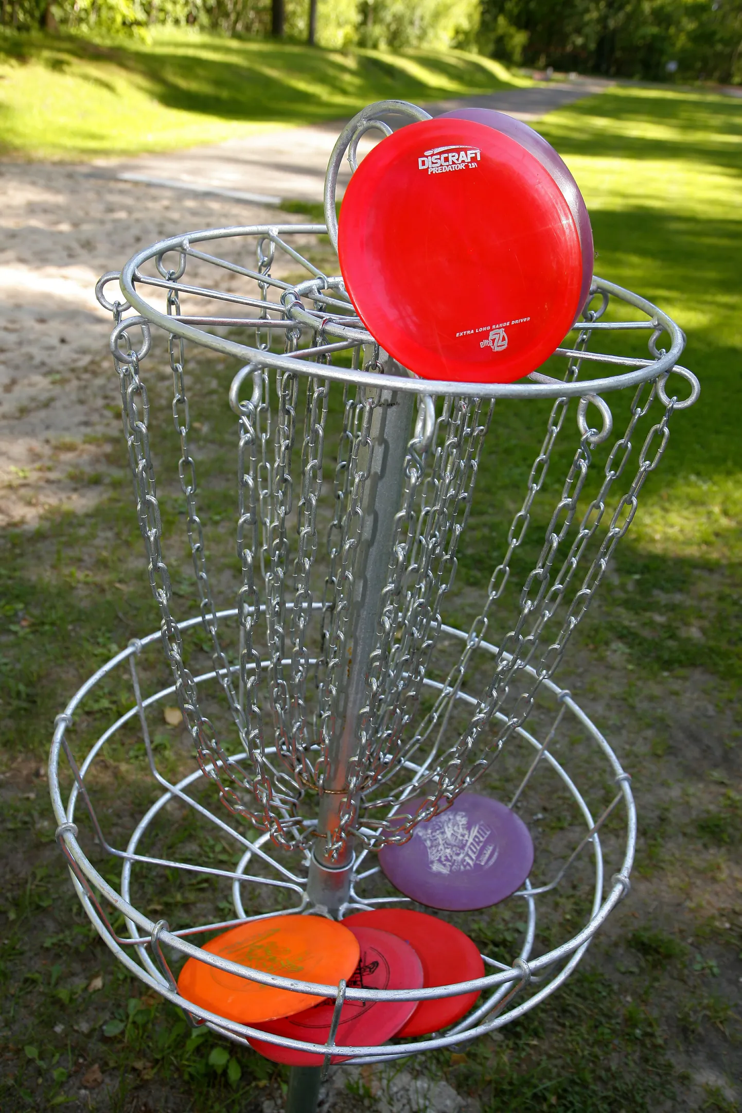 Disc-golf.