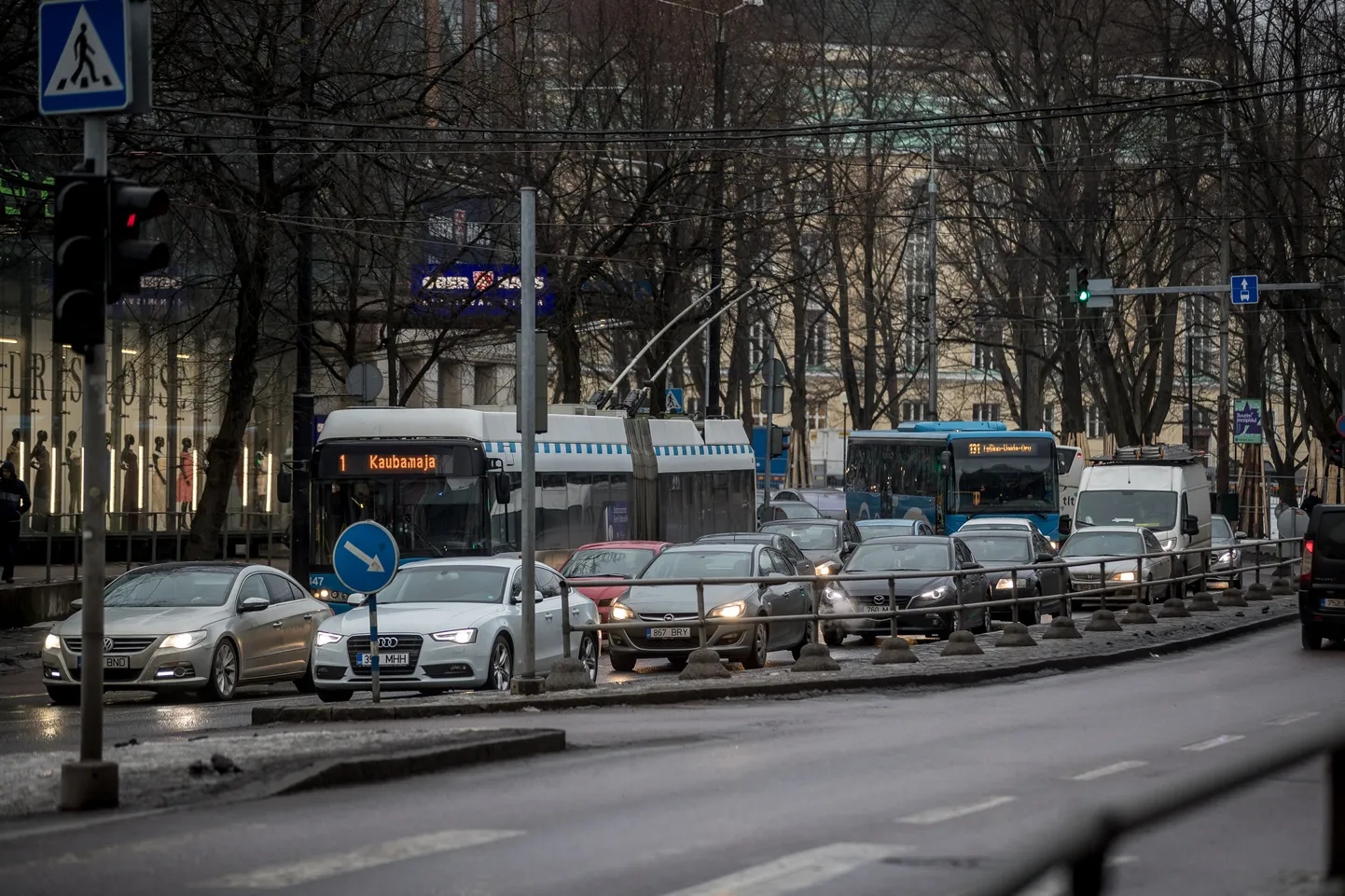 Ummik Tallinna kesklinnas. Foto on illustratiivne.