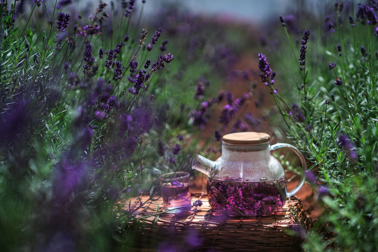 Lavendel mõjub rahustavalt ning tagab ööseks sügava ja värvilise une.