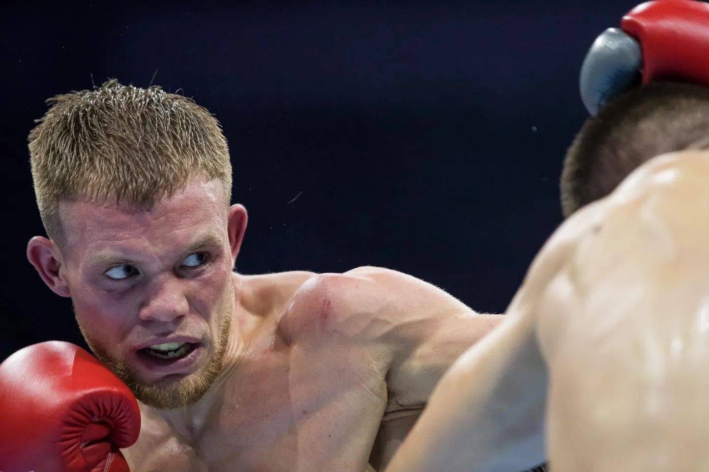 Markko Moisar kohtub Fightlandil poksiringis venelase Roman Blohhiniga.