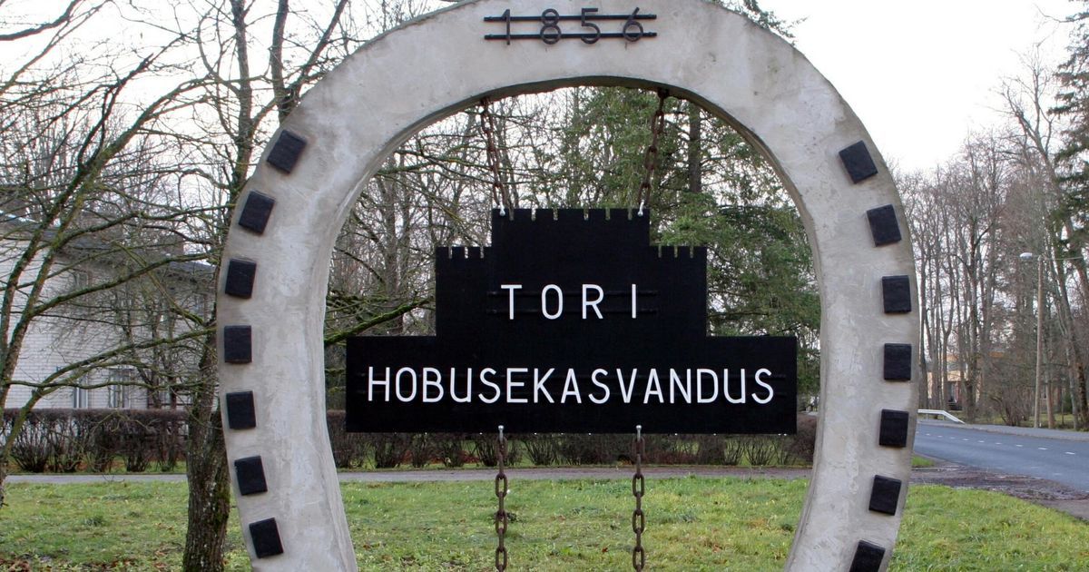Tori noorhobuseid ootavad üleriigilised jõudluskatsed