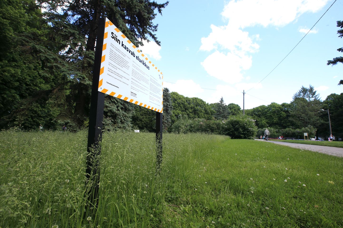Sel aastal jätab Tartu linn liigirikkuse tõstmiseks mitmed haljasalad niitmata.
Pildil sellest teavitav tahvel kesklinna pargis.