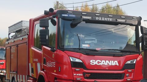 Mure kasside pärast tõi kohale päästjad