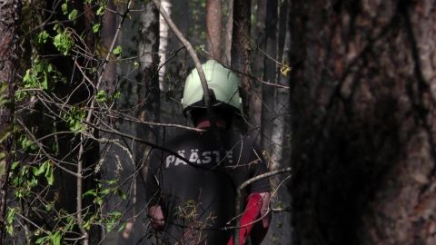«Новости в 7» за 19 июня: горят леса и торфяники, как воюют россияне на стороне ВСУ, где искать помощь при РПП и 5-летие «Арт-Чердака»
