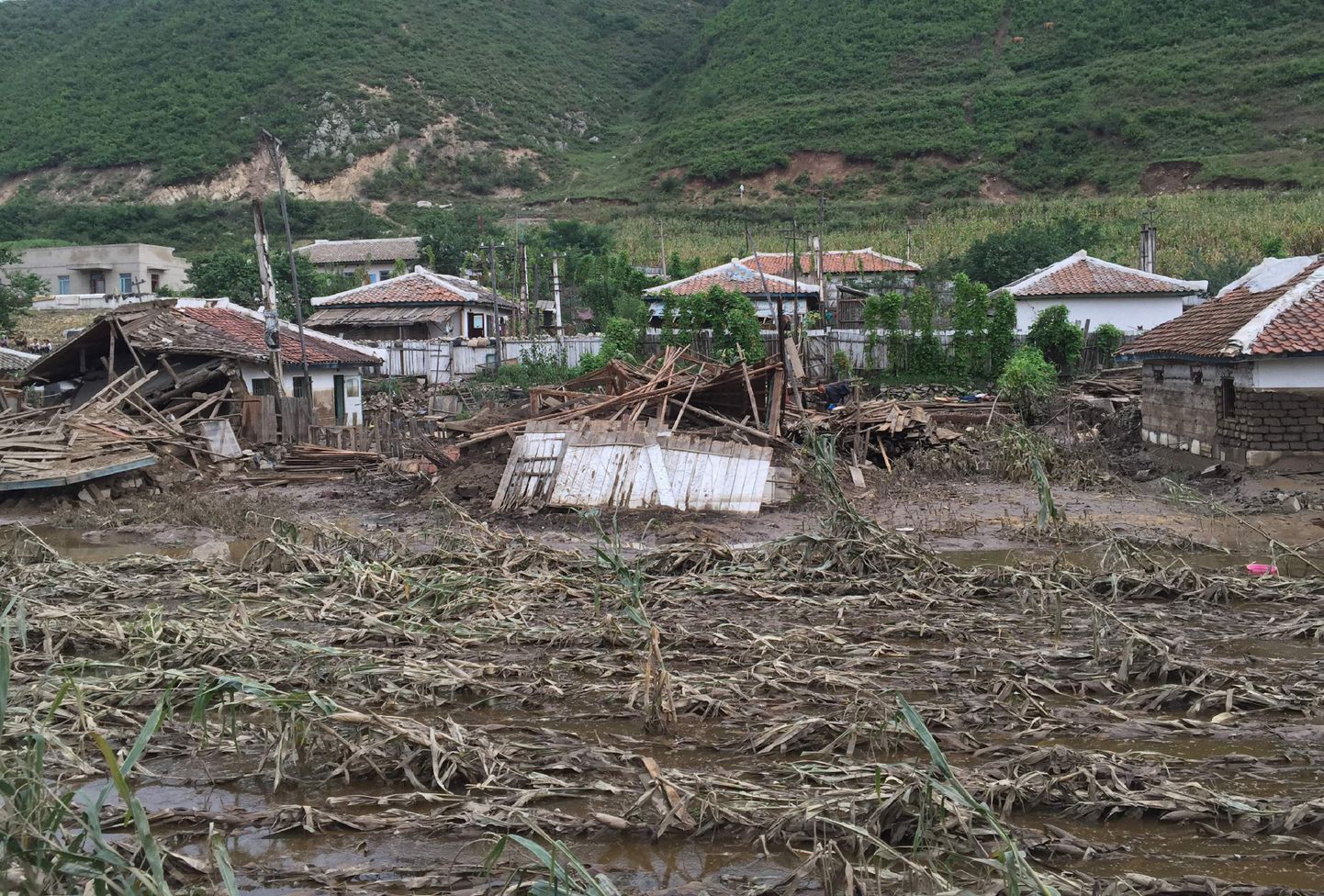 В некоторых деревнях, пострадавших от наводнения, не осталось ни одного целого здания.