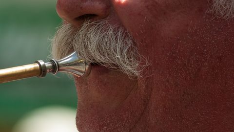 MINIVIKTORIIN ⟩ Millise kuulsa vuntsikandja viimaseks etteasteks jäi «Eesriie»?