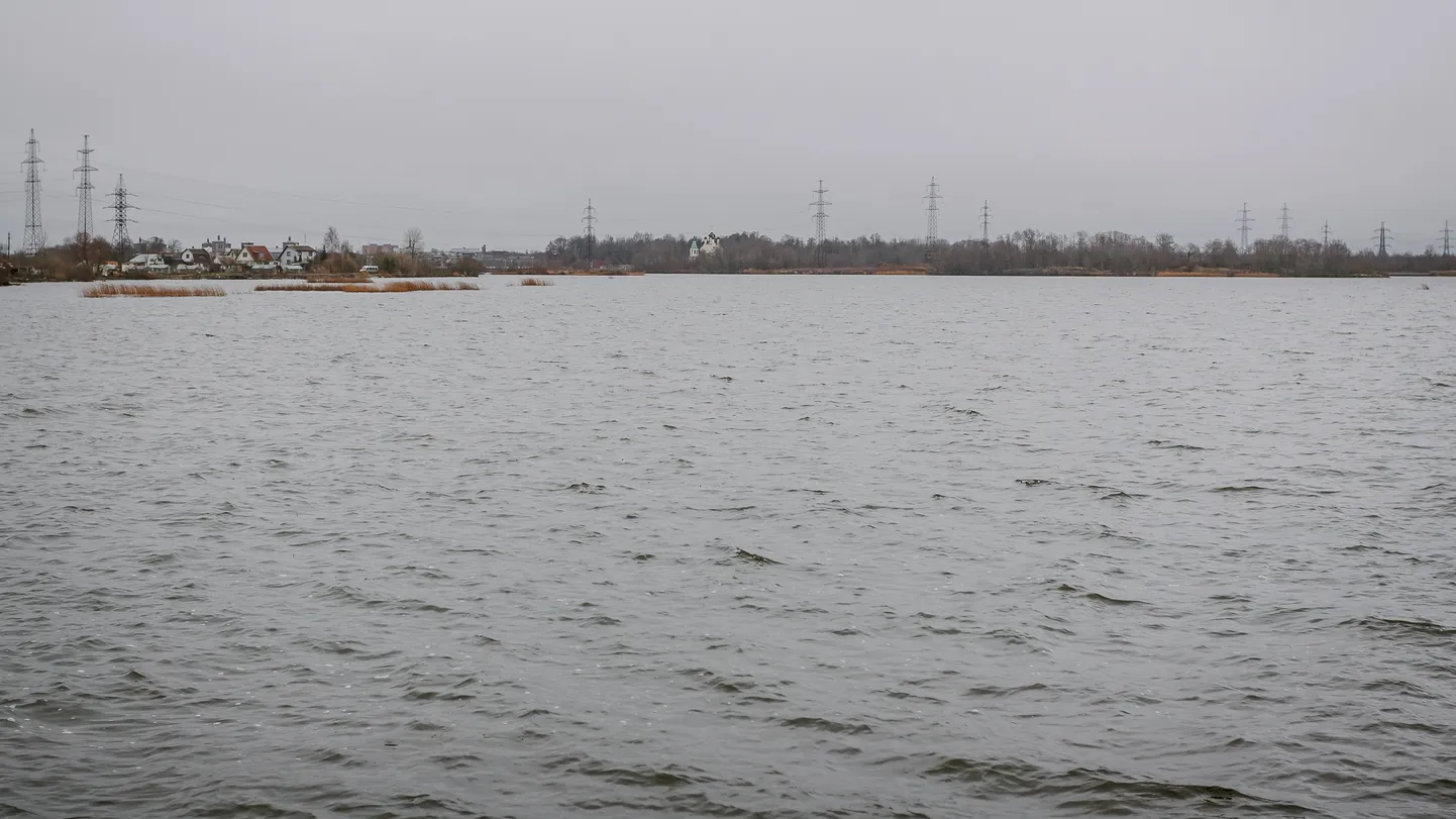 Вид на Нарвское водохранилище и его российский берег на горизонте.