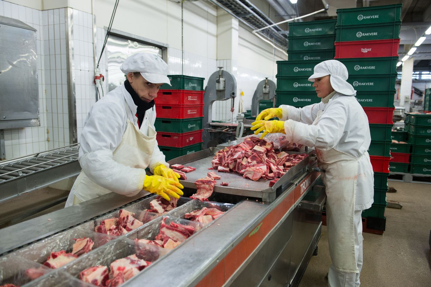 Liha töötlemine Rakvere Lihakombinaadis.