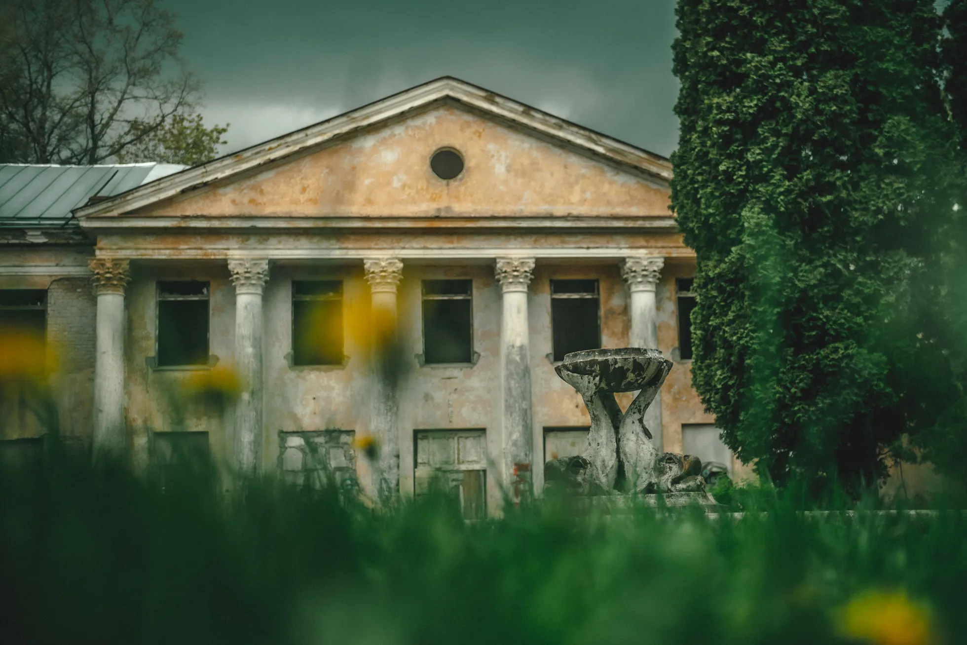 Фото статьи