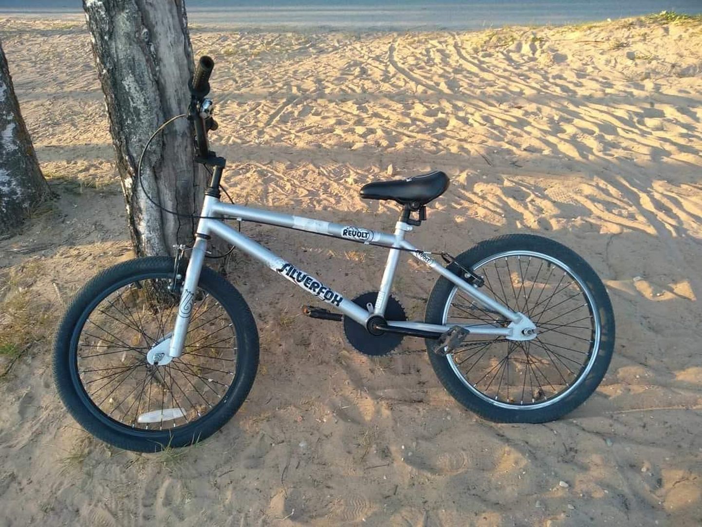 Велосипед, украденный около канала Анне в Тарту.