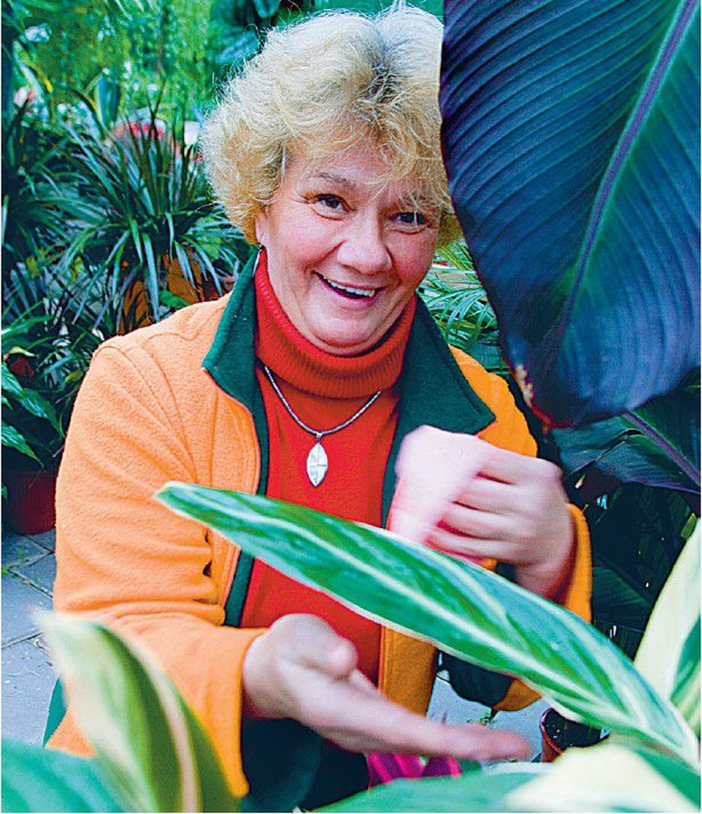 Kui õhk on väga kuiv, tuleks lisaks kastmisele lillede lehti kaks-kolm korda nädalas veega piserdada, soovitab Cerese aianduskeskuse tootejuht Maarika Pedak.