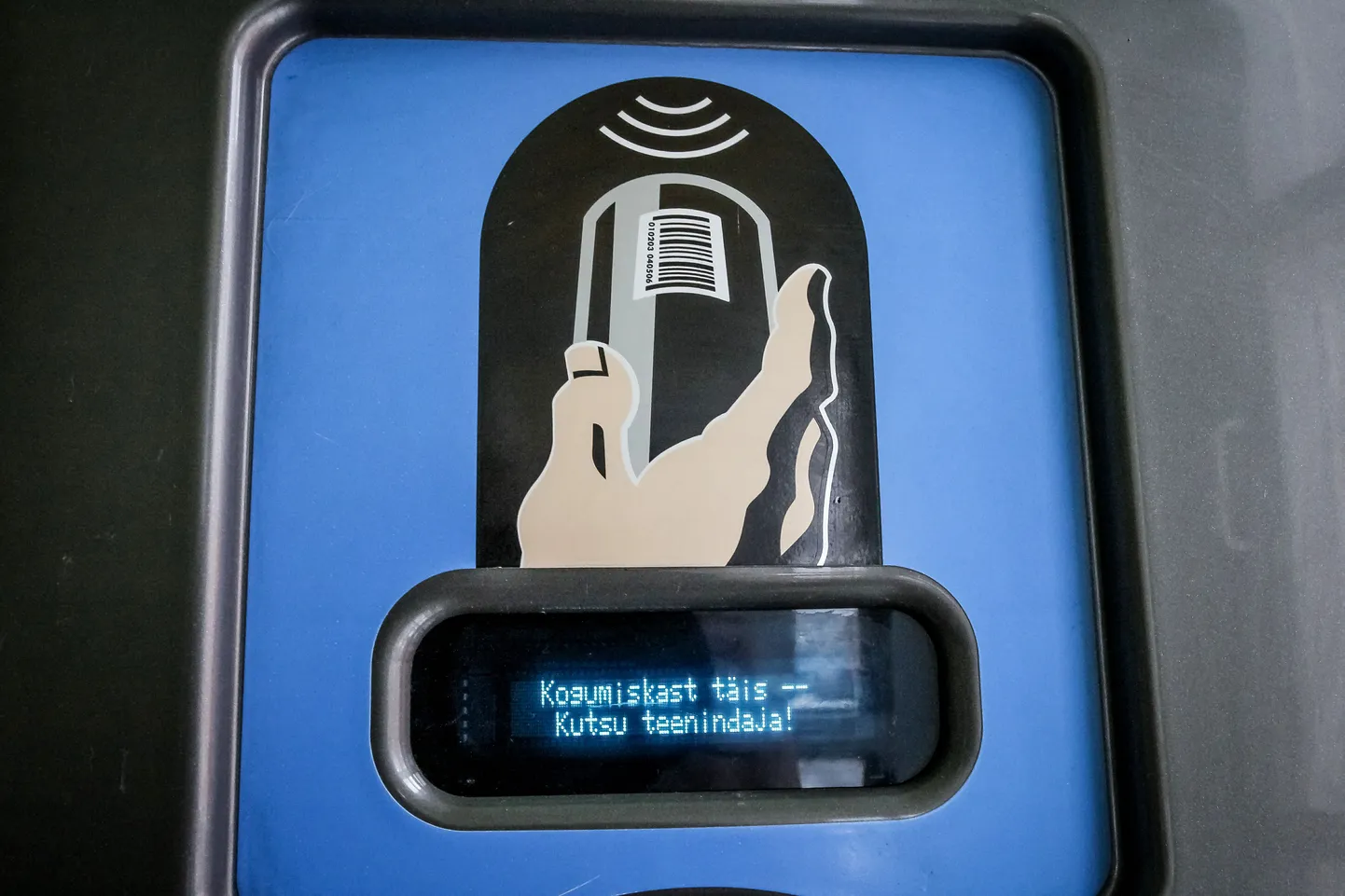 Suured kogused tühje pudeleid on nüüdseks taarapunkti viidud.