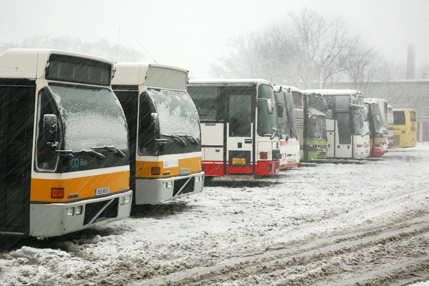 Bussid Pärnu bussijaamas. Foto on illustreeriv.