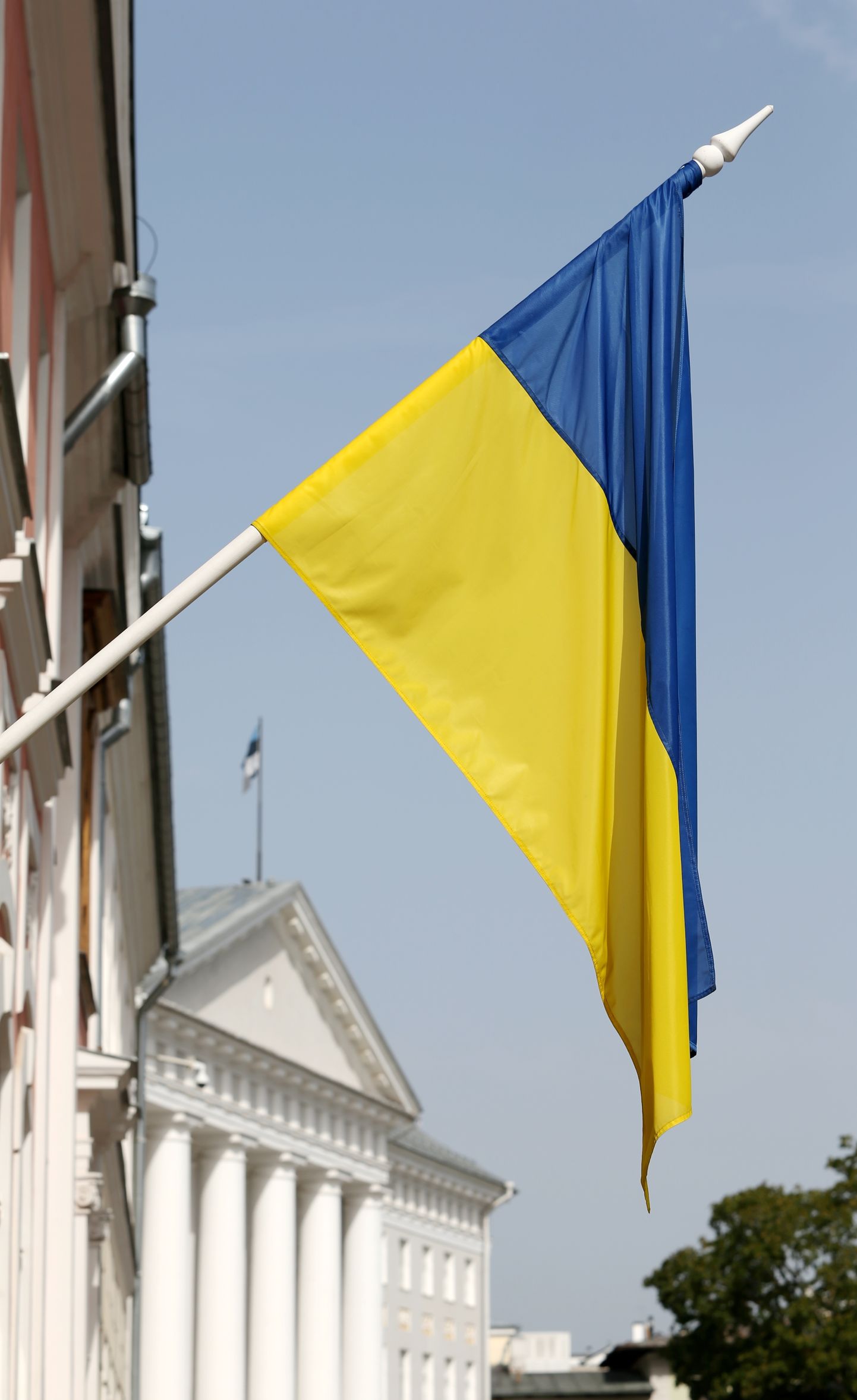 Ukraina lipp Eestis.



Foto Sille Annuk, Tartu Postimees