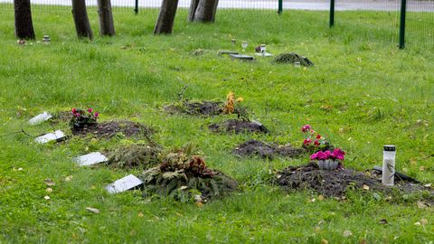 GALERII ⟩ Pärnu lemmikloomade kalmistul puhkab üle 40 looma