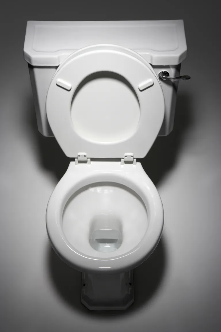 WC-pott. Pilt on illustreeriv