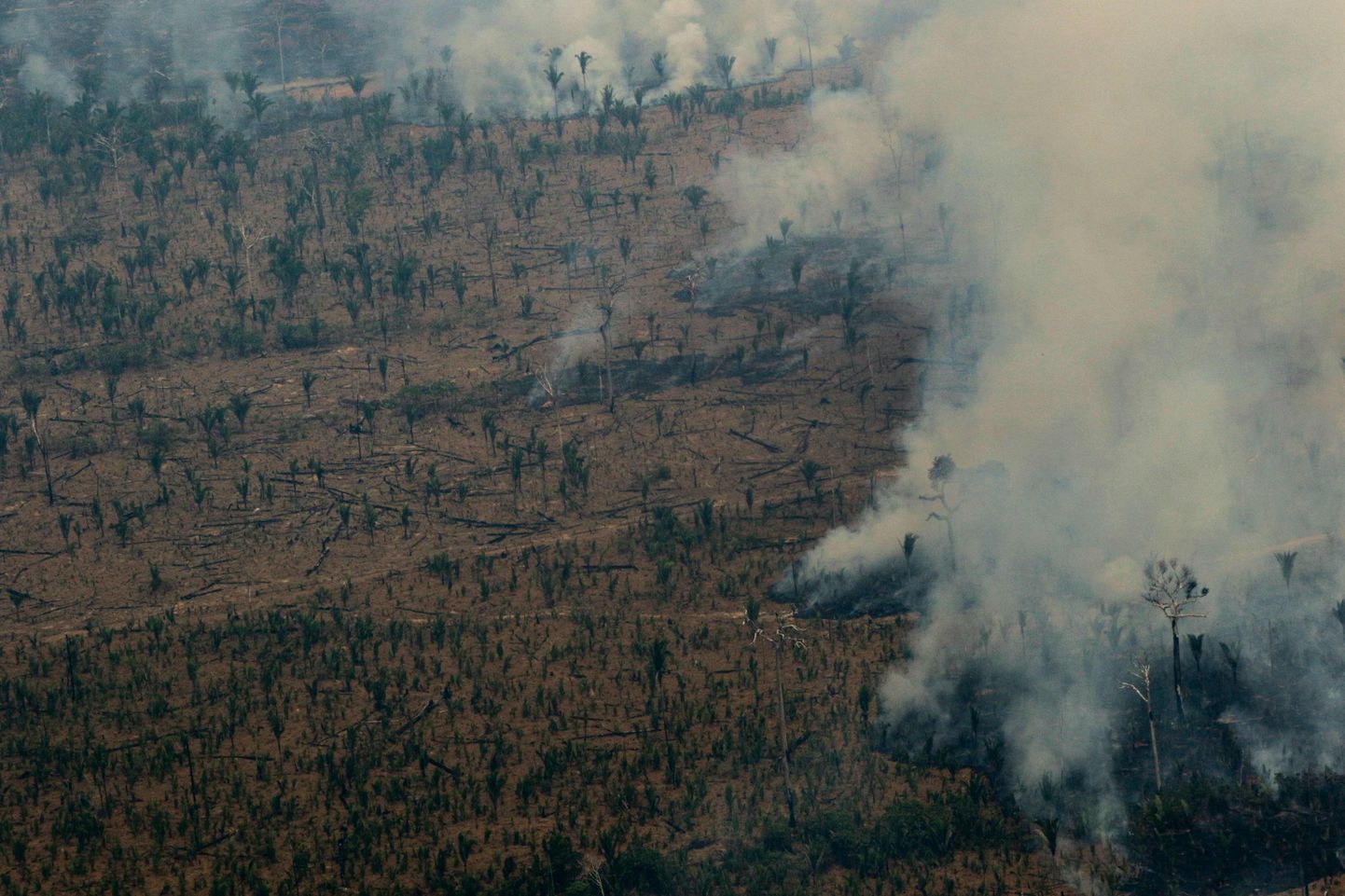 Põleng Brasiilia Amazonases.