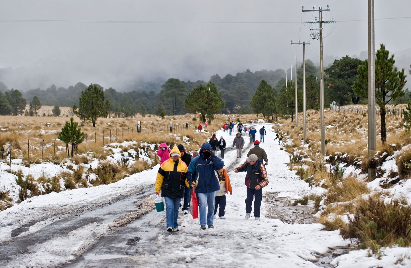 Erakordne külm nõudis Mehhikos üheksa inimese elu. Fotol talv Puebla osariigis